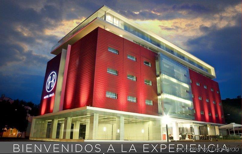 Gamma Morelia Belo Экстерьер фото